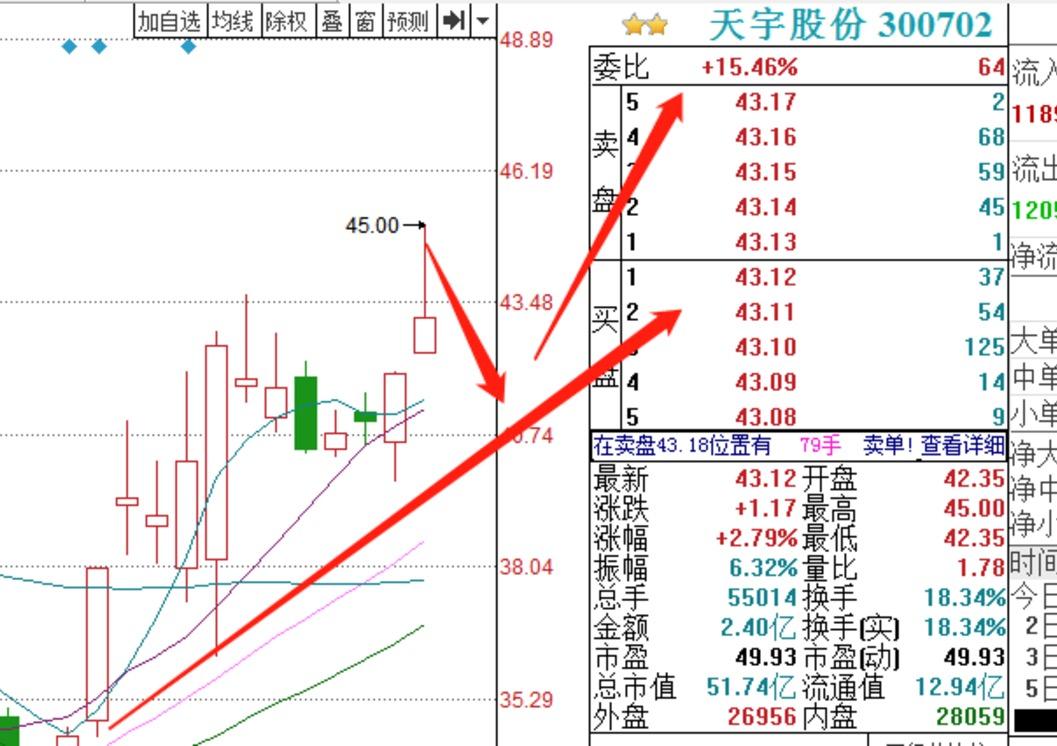 股票研究，聚焦在股票002916的獨特視角，股票研究，聚焦股票002916的獨特視角分析
