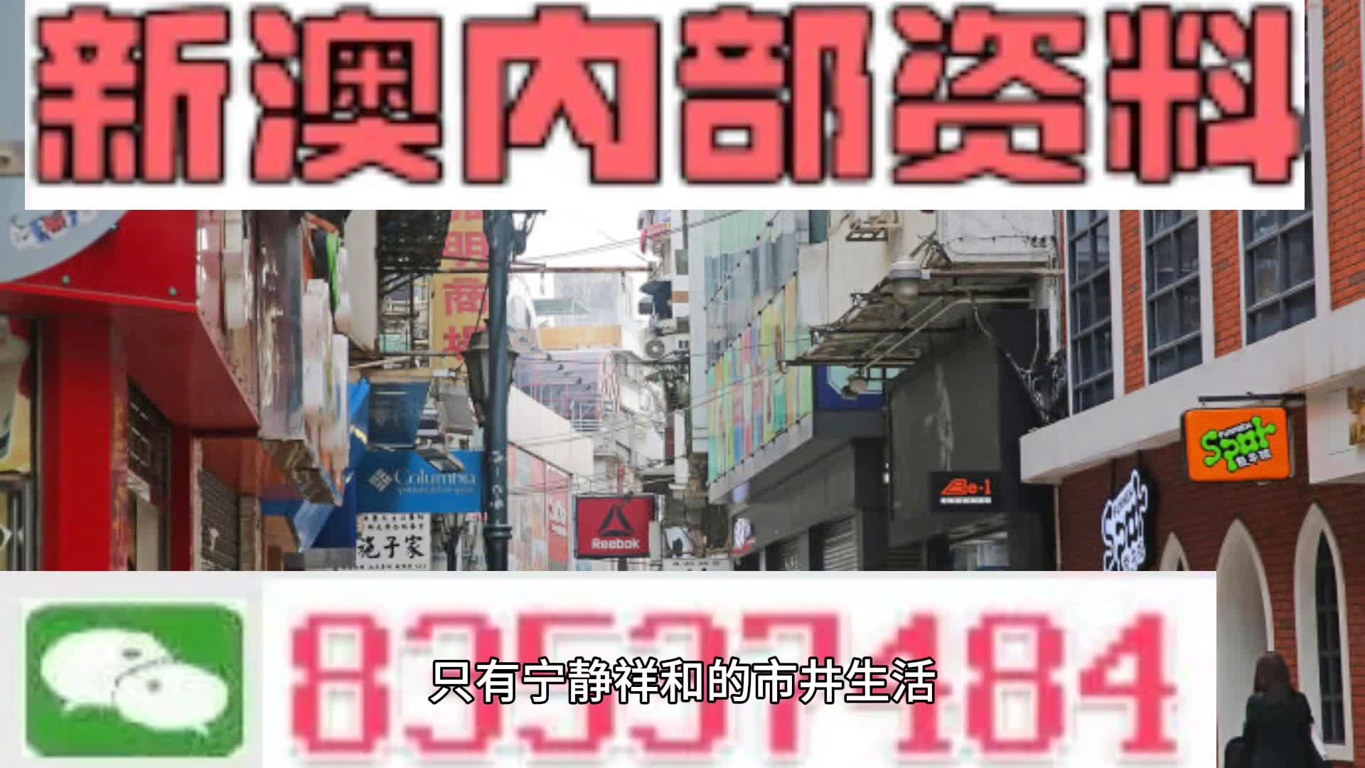 新澳門內(nèi)部資料精準(zhǔn)大全，深度探索與解讀，澳門內(nèi)部資料深度解讀與探索秘籍