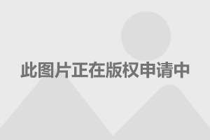 張柏芝與謝霆鋒的關(guān)系，愛(ài)情、婚姻與人生的交織，張柏芝與謝霆鋒關(guān)系，愛(ài)情、婚姻與人生的復(fù)雜交織