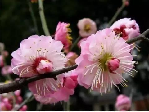 北京大觀園旅游攻略，北京大觀園游玩攻略大全