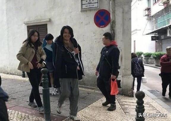 澳門正版四不像，探索與解析，澳門正版四不像，深入探索與解析