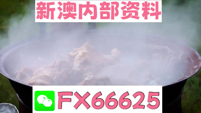 新澳全年免費(fèi)資料大全，探索與收獲，新澳全年免費(fèi)資料大全，探索之旅與收獲的時(shí)刻
